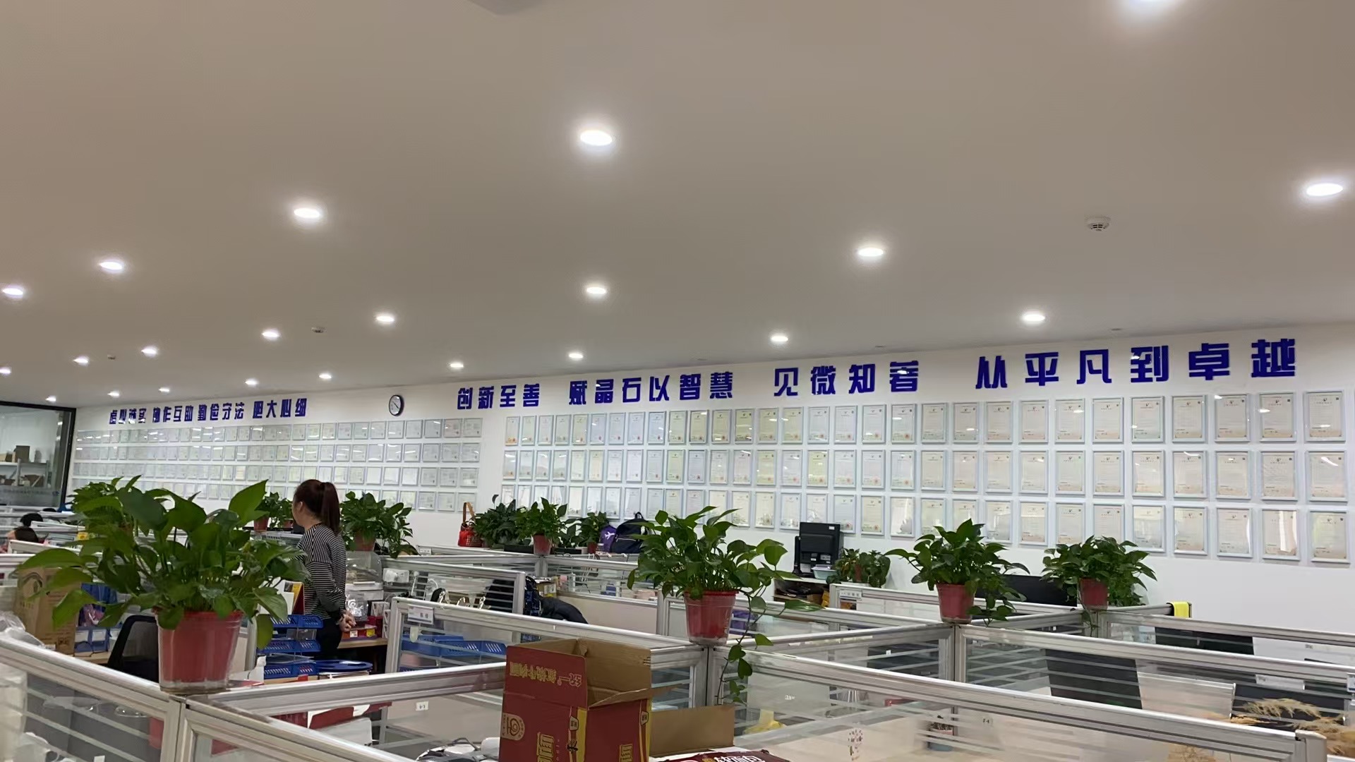 专利墙.jpg
